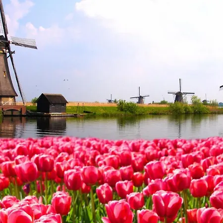 Σαλέ The Captain's Petten